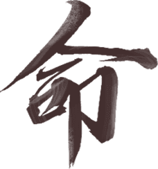 命